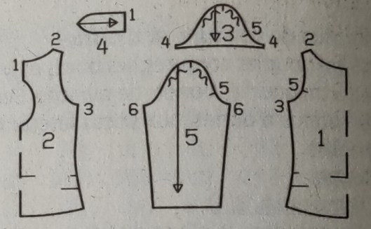 IMG_20210726_094648-1